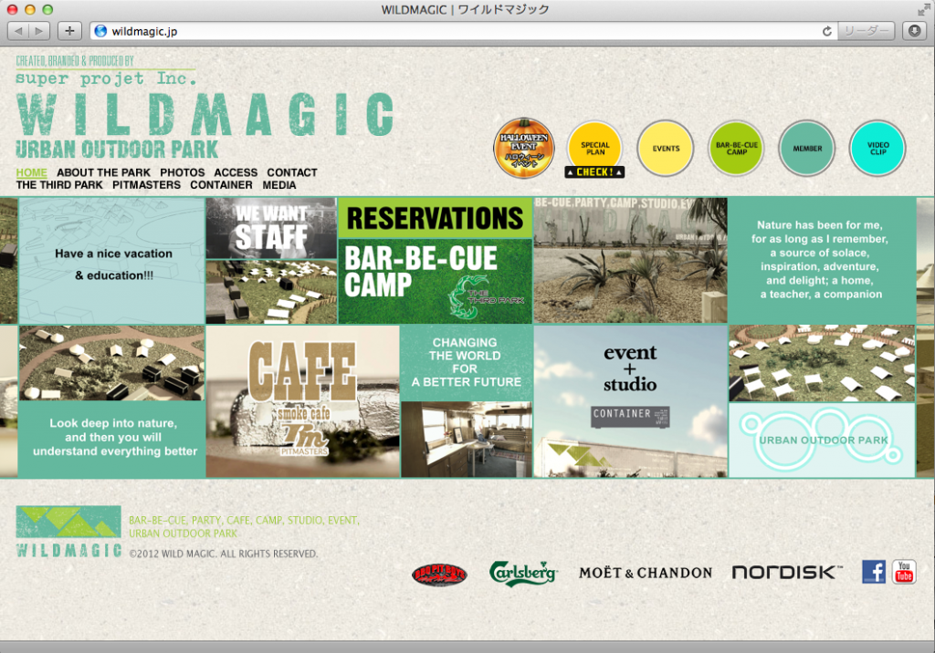 wildmagic